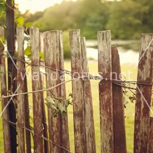 Wooden Fence Closeup